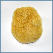 Aegean Sea Grass Sponge 3-4 inches